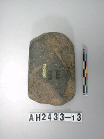 藏品(中型磨製石錛)的圖片